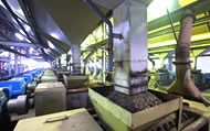 Crushing palm kernel into crude palm kernel oil