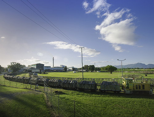 Sugar cane harvesting in Burdekin, Australia