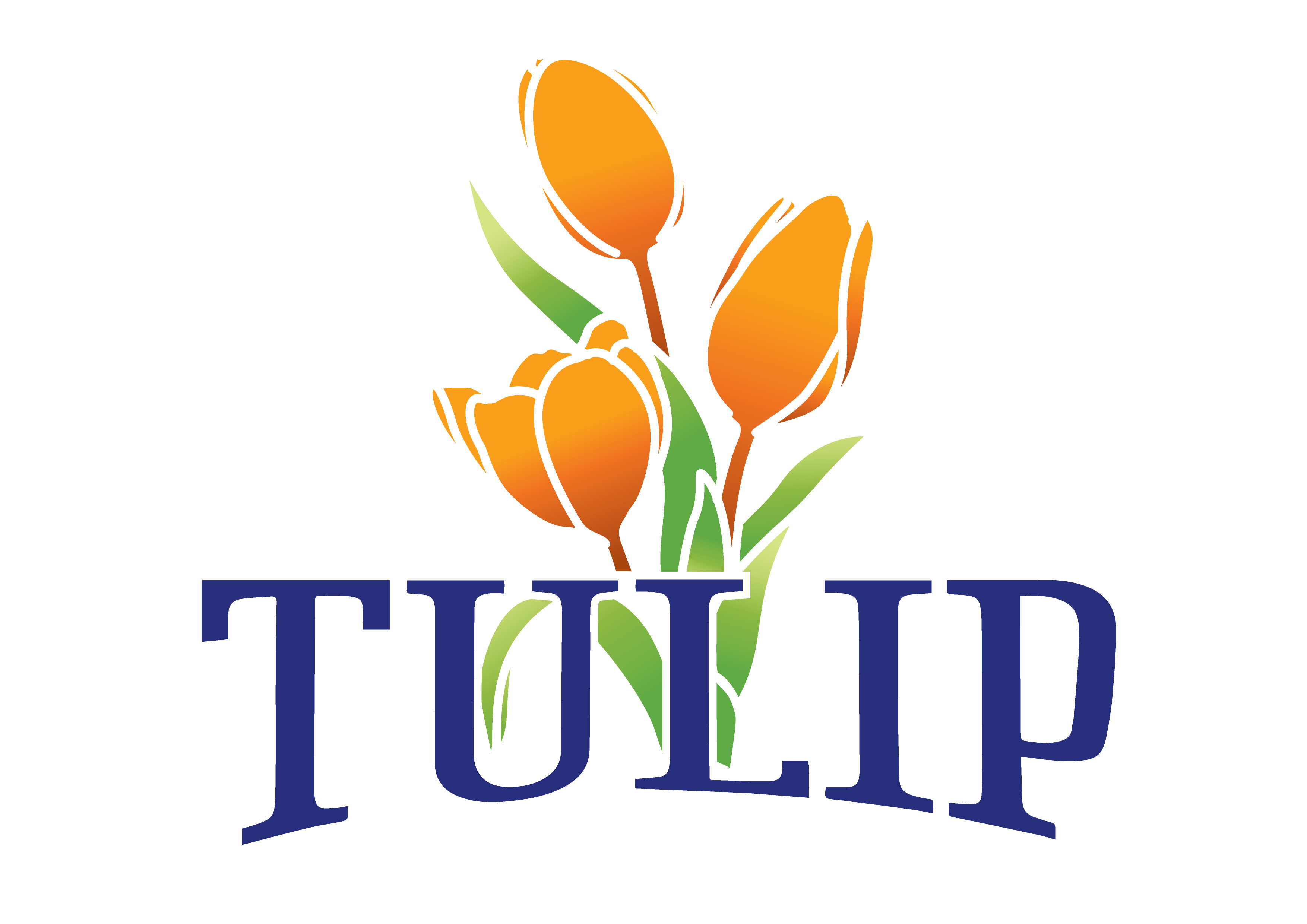 logo TULIP new OK-01
