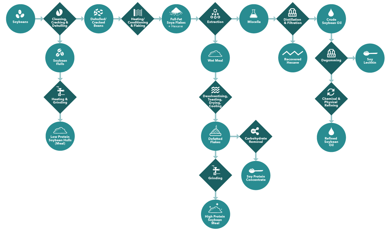 Soybean Process Flow