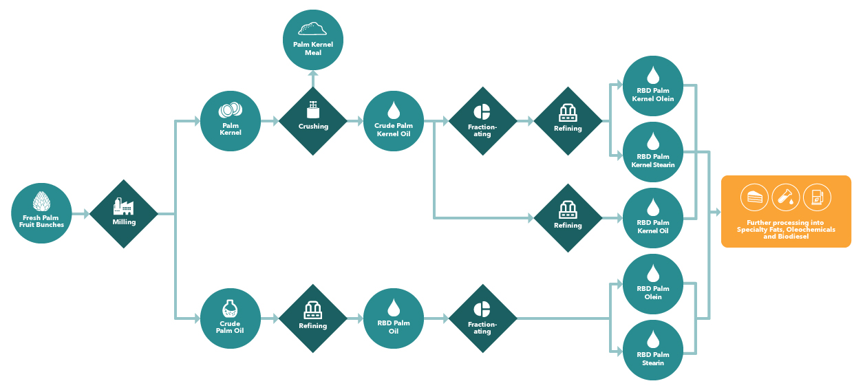 Palm and Laurics Process Flow