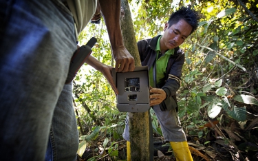 Camera trap in Wilmar’s conservation area