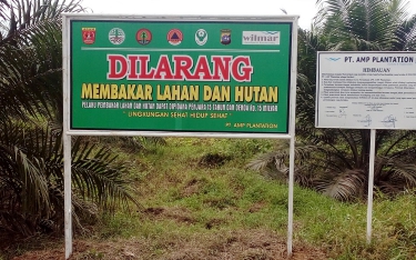 Burning sign in Wilmar’s plantation