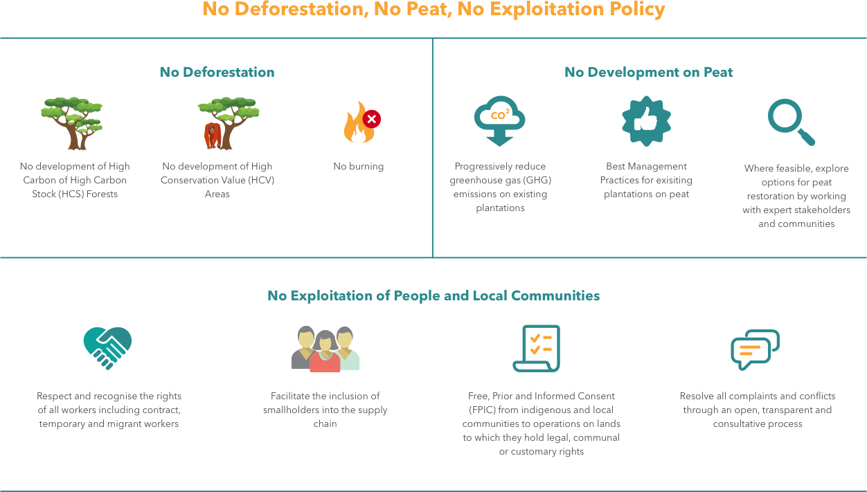 NDPE Infographic